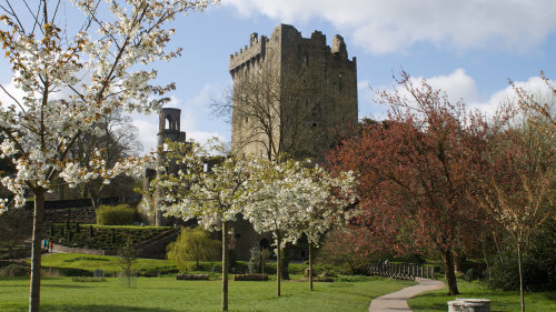 2-Day Tour of Cork & Southwest Ireland by Railtours Ireland First Class