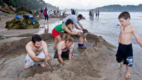 Coromandel Full-Day Tour by Bush & Beach