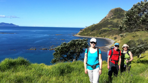 Coromandel Coastal Walkway Day Tour by Coromandel Adventures