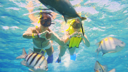 Cozumel Snorkel Adventure