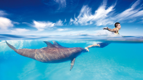 Dolphinaris Cozumel