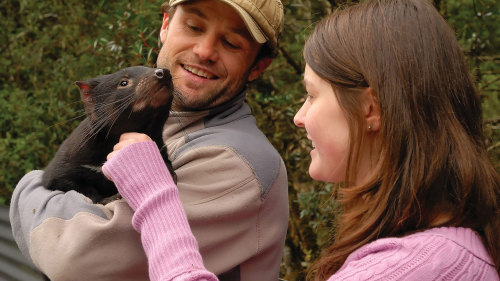 Tasmanian Devil Sanctuary Admission & Tour