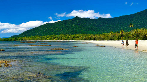 Daintree, Cape Tribulation & Mossman Gorge Small-Group Tour