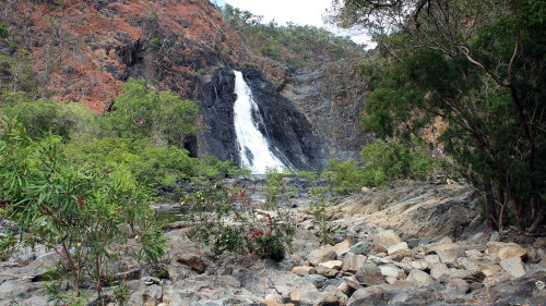 3-Day Cooktown, Daintree & Outback Small-Group Tour