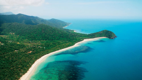 Cape Tribulation & Daintree Wilderness Tour with River Cruise