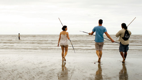 Daintree Rainforest with Aboriginal Walk by Adventure North Australia