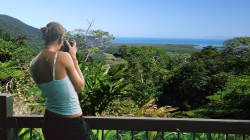 Cape Tribulation Tour by Jungle Tours & Trekking