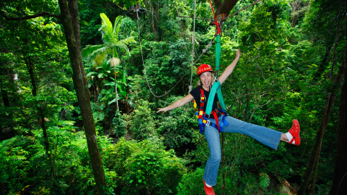 Cape Tribulation & Zipline Canopy Tour by Jungle Tours & Trekking