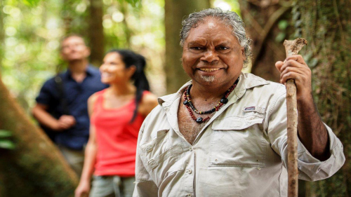 Daintree Rainforest with Aboriginal Walk by Adventure North Australia