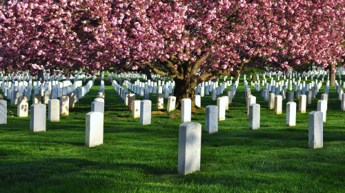 Arlington National Cemetery Tour