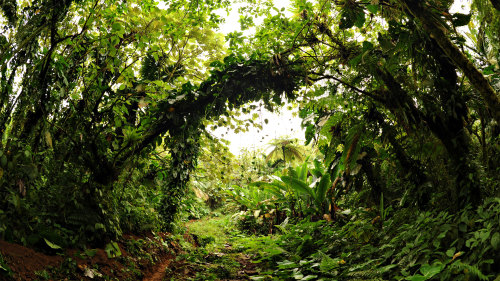 Edge Ferry to Saba & Hike