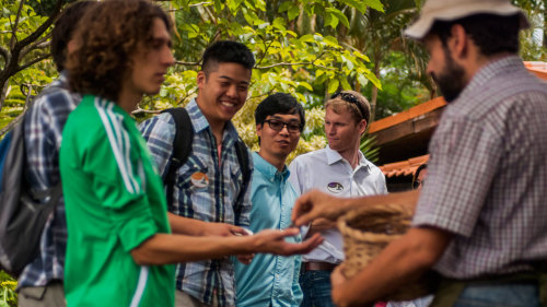 Coffee Plantation Tour with Lunch