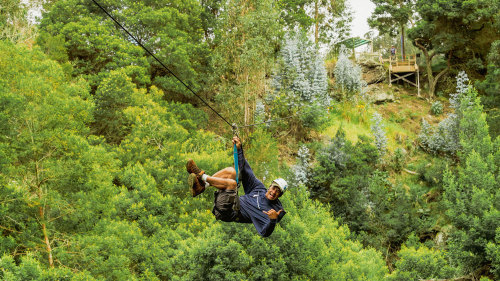 Zipline Haleakala