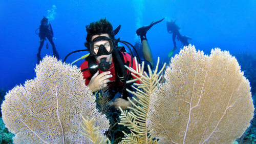 Scuba Diving Adventure