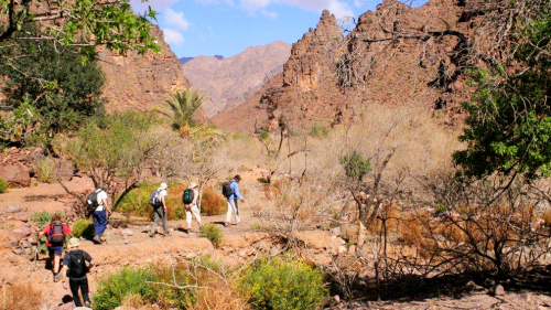 Half-Day Trekking Tour in the Atlas Foothills