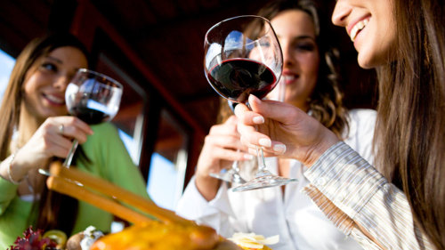 Wine Connoisseur Tour to 4 Area Wineries