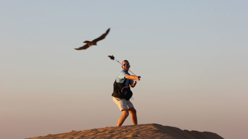 Private Falconry Experience with Breakfast