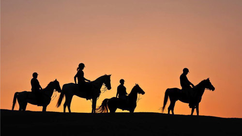 Full Moon Desert Horseback Riding Experience