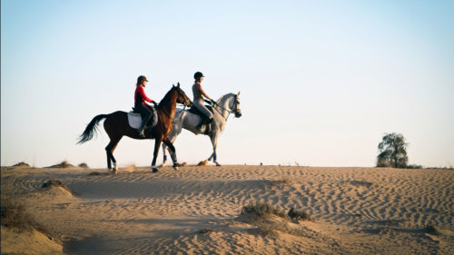 Private Horse-Riding Lesson