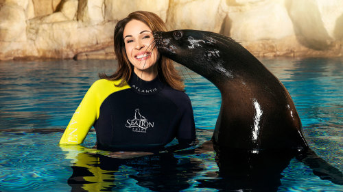 Sea Lion Point Experiences at Atlantis, the Palm