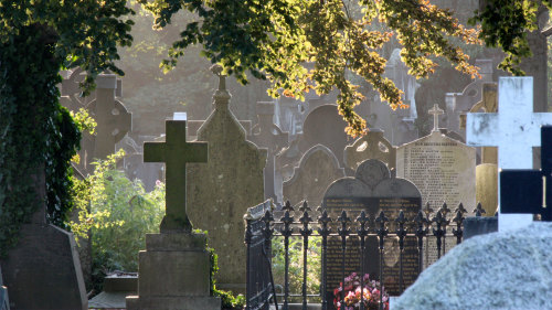 Glasnevin Cemetery Guided Tour & Museum