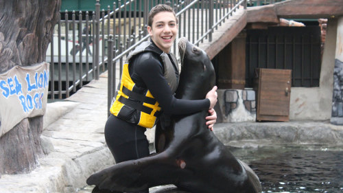 Sea Lion Encounter