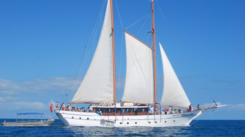 Mamanuca Islands Sailing Day Cruise