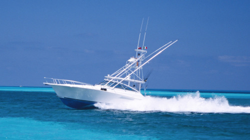 Speedboat: Nadi Airport (NAN) - Mamanuca (excluding Malolo Lailai)