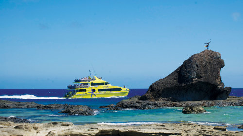 Snorkelling with Sharks at Barefoot Kuata Island by South Sea Cruises