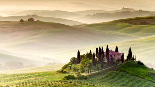 Tuscany in 1 Day With Lunch & Winetasting by City Wonders