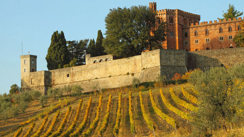 Small-Group Chianti & Castles Tour