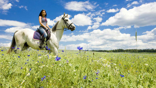 Tuscany Horseback Riding Tour