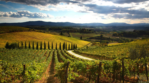 Small-Group Chianti & Villages Full-Day Tour with Lunch