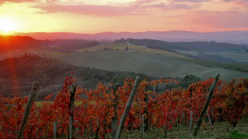 Small-Group Chianti & San Gimignano Sunset Tour with Dinner