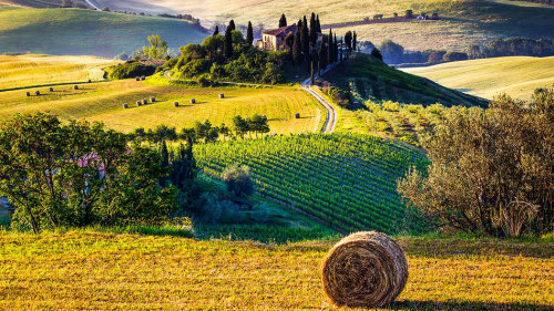 Siena, Montalcino & Val d