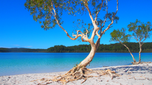 Fraser Island Day Tour