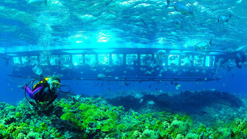 Semi-Submarine Underwater Explorer Tour