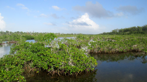 Lucayan Park Caves & Beach