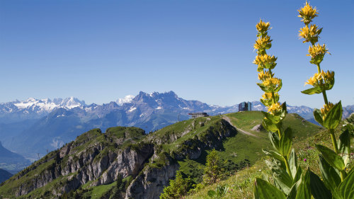 Chamonix & Mont Blanc with Aigulle du Midi & Mer de Glace by Keytours