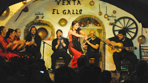 Flamenco Show at Venta El Gallo with Transportation by Granavision