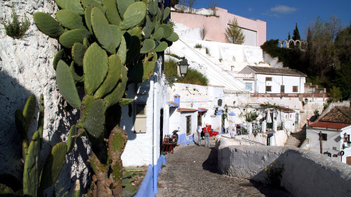 Historical Granada Half-Day Tour