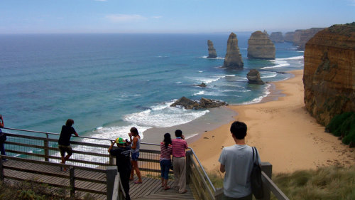 2 Tours Combo: Great Ocean Road & Phillip Island Penguin Parade