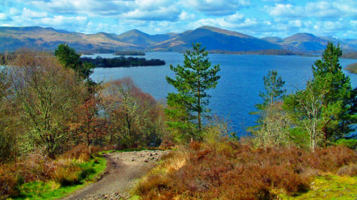 Stirling Castle, Loch Lomond & Trossach National Park Full-Day Tour