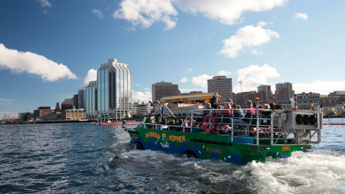 Harbour Hopper Tour