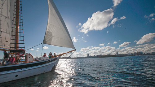 Classic Tall Ship Sailing Adventure