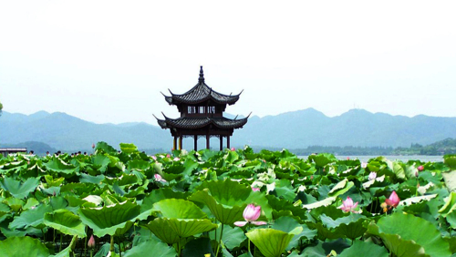 Private Hangzhou: Heaven on Earth Day Tour by Shanghai Han Tang Travel