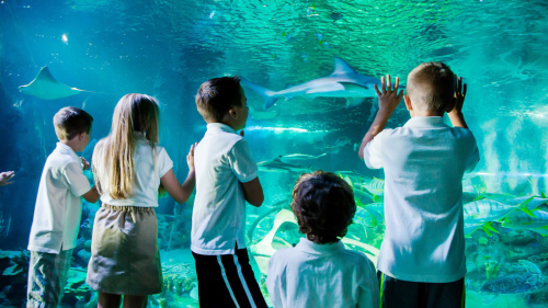 Skip-the-Line: SEA LIFE Hannover Aquarium