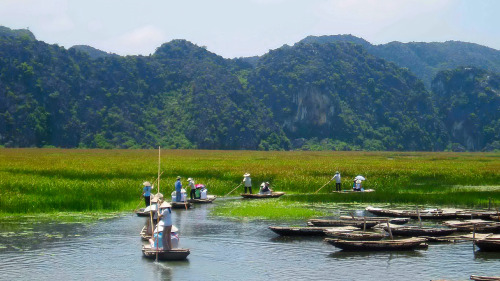 Private Kenh Ga Floating Village and Hoa Lu Tour by Threeland Travel