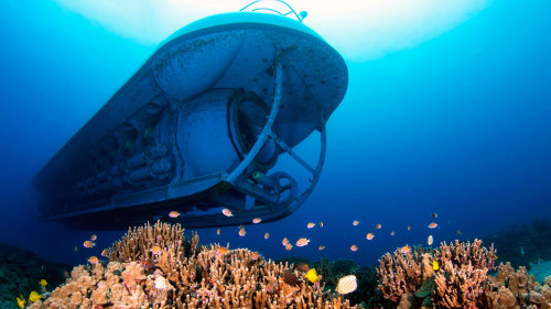 Underwater Adventure with Atlantis Submarine