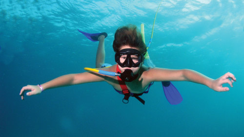 Snorkel & Dolphin Adventure